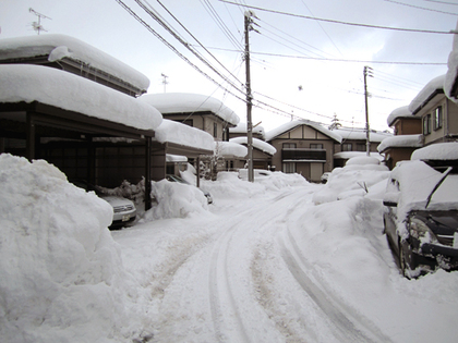 2012.2.12.三条大雪 002.jpg