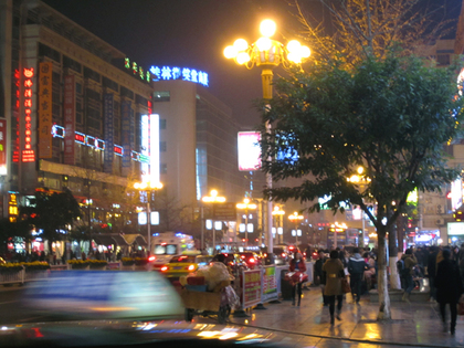 2014年1月5日桂林的夜18.JPG