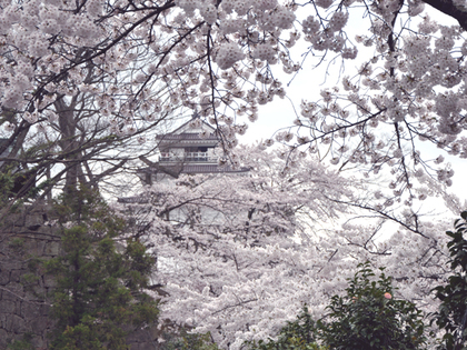 2014年4月会津鶴ヶ城と桜4.JPG
