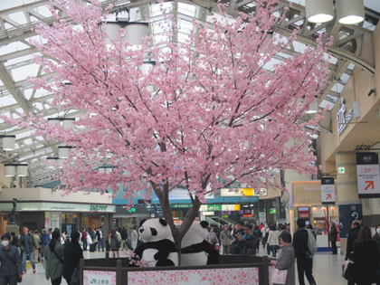 2015.3.23.上野駅.JPG