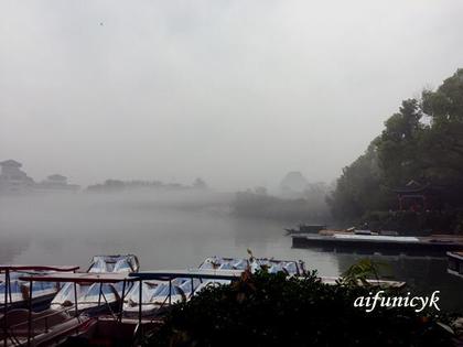 2017.3.31霧的榕湖.JPG